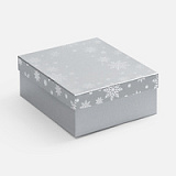 Коробка Wintry, серебристая